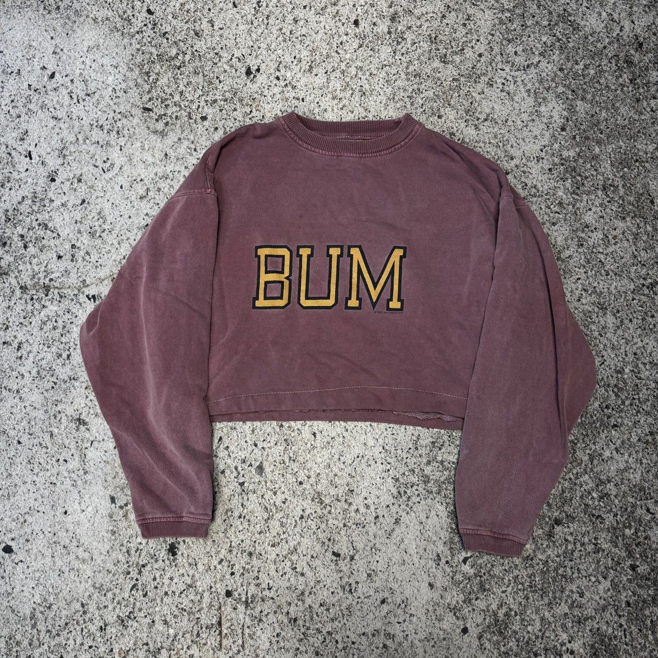 Sudadera descolorida recortada de Bum Equipment de los años 90