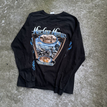 2000s HARLEY DAVIDSON BLUE SKULL FLAME LONGSLEEVE TEE VIRGINIA BEACH