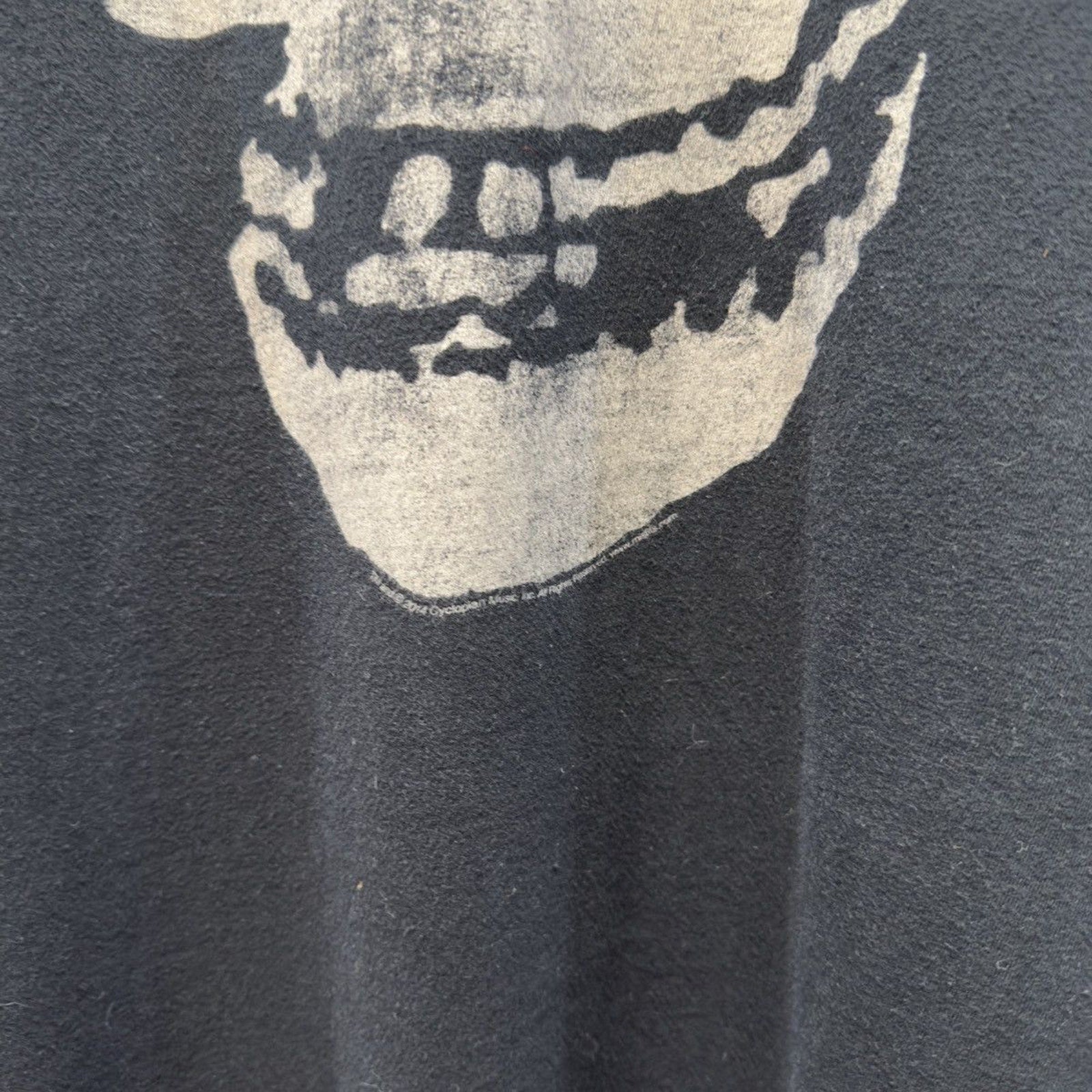 Vintage 2014 Misfits Skull Band Tee