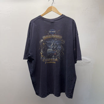 Vintage 2000s Harley Davidson Faded Distressed Skull Tee
