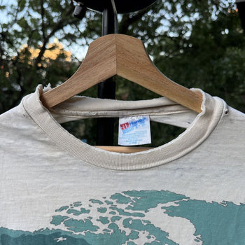 1990s Thrashed Faded Distressed World Biomes Tee