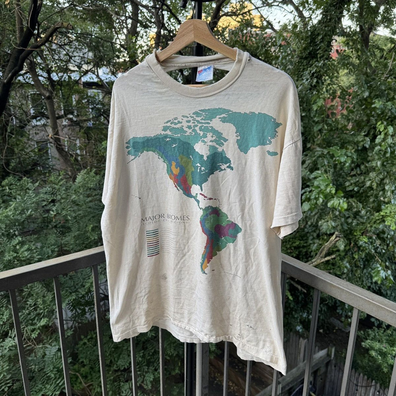 1990s Thrashed Faded Distressed World Biomes Tee