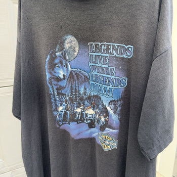 1990s Harley Davidson Legends Live Thrashed Faded Distressed Tee