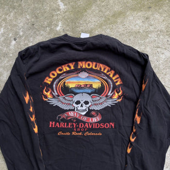 2000s HARLEY DAVIDSON SKULL LOGO FLAME LONGSLEEVE TEE