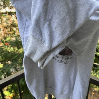 1990s Dinosaurs Extinct Cigarettes Faded Sweatshirt