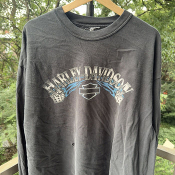 2000s Harley Davidson Faded Blue Clown Flame Longsleeve Tee