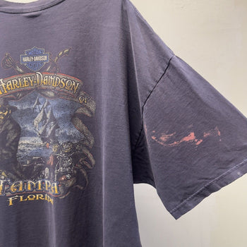 Vintage 2000s Harley Davidson Faded Distressed Skull Tee