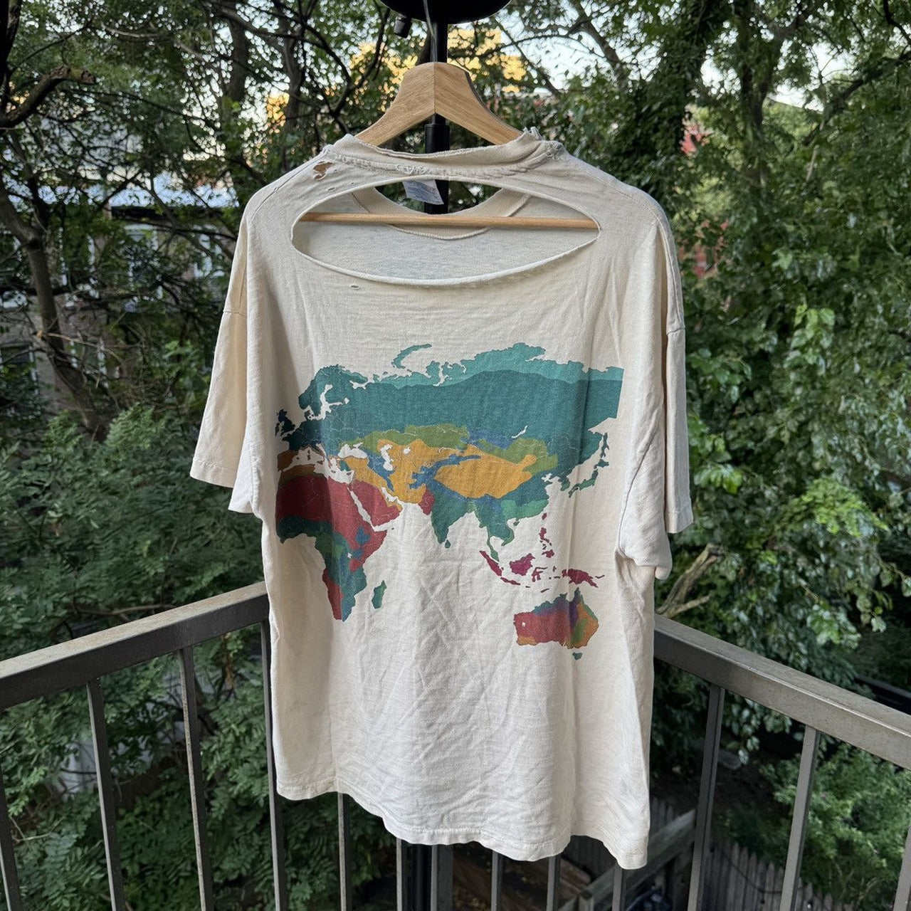 1990s Thrashed Faded Distressed World Biomes Tee