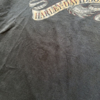 2000S Y2K HARLEY DAVIDSON DRAGON LOGO TEE FADED